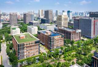 河南抗氧剂246订购